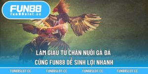 Làm Giàu Từ Chăn Nuôi Gà Đá Cùng Fun88 Dễ Sinh Lợi Nhanh