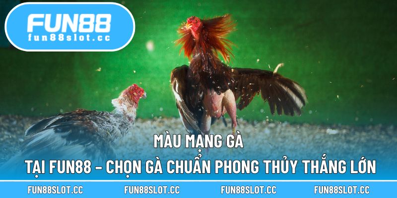 Màu Mạng Gà Tại Fun88 – Chọn Gà Chuẩn Phong Thủy Thắng Lớn